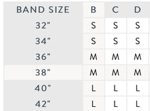 Load image into Gallery viewer, Bravado Original Pumping and Nursing Bra