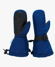 Load image into Gallery viewer, Jan &amp; Jul Toasty Dry Waterproof Mitten