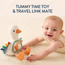 Load image into Gallery viewer, Itzy Bitzy Mirror - Sensory Mirror Goose