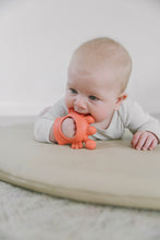 Load image into Gallery viewer, Crab Bitzy Grip