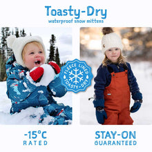 Load image into Gallery viewer, Preorder Jan &amp; Jul Toasty Dry Waterproof Mittens