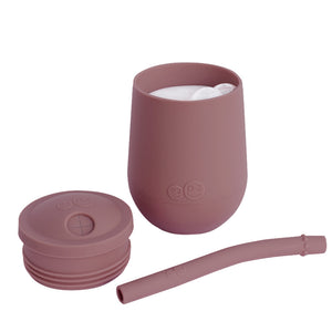 EZPZ Mini Cup + Straw Training System