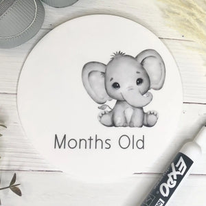 Reusable Weeks & Months Milestone Disc - Elephant